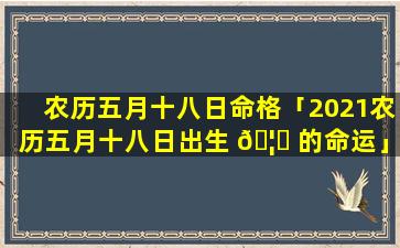 农历五月十八日命格「2021农历五月十八日出生 🦈 的命运」